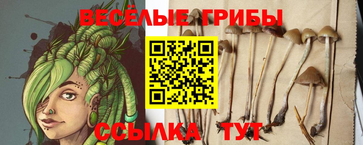 Псилоцибиновые грибы MAGIC MUSHROOMS Липецк